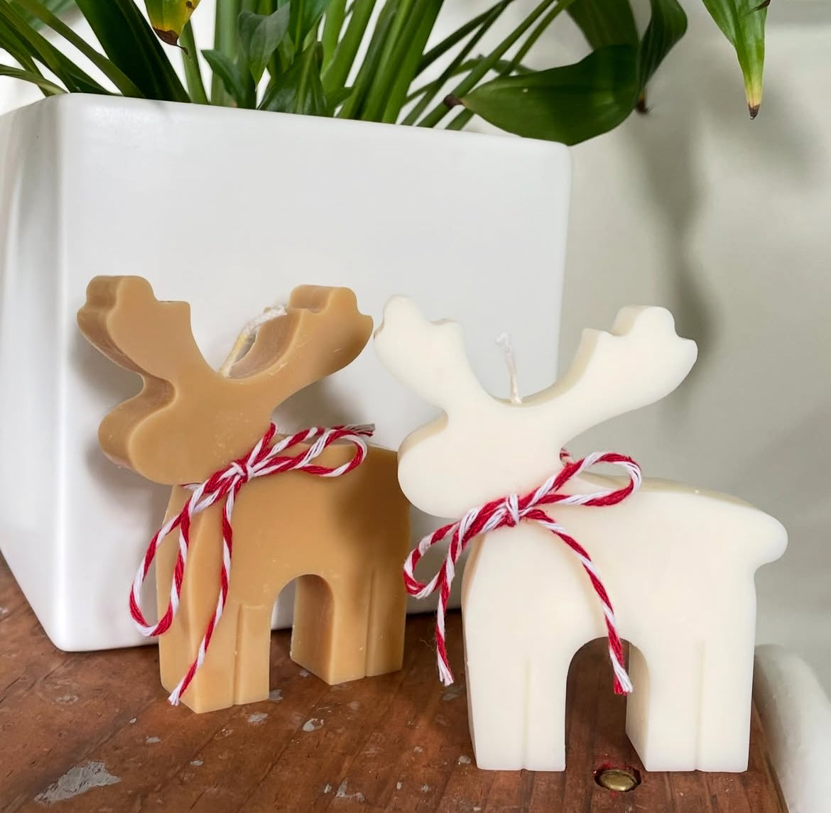 Xmas Candle - Reindeer